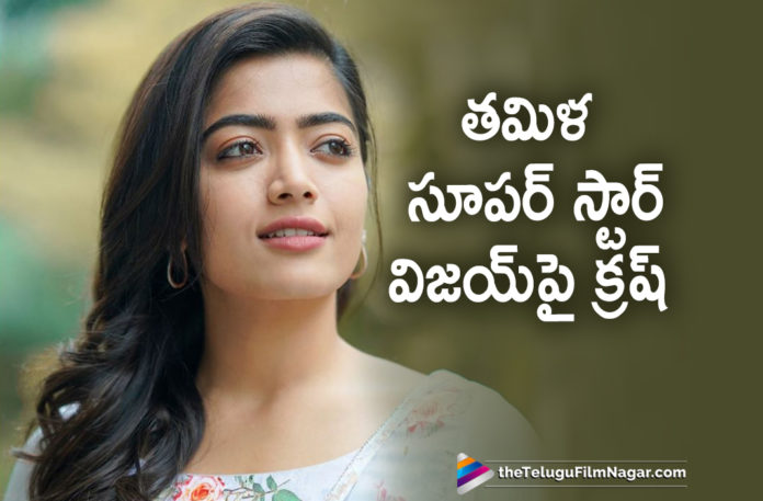 Rashmika Mandanna Crush On Tamil Super Star Vijay