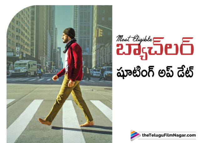 Most Eligible Bachelor Movie Special Shooting Update