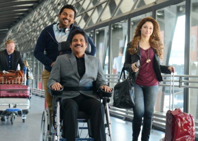 4 Years For Memorable Hit Oopiri,Telugu Filmnagar,Latest Telugu Movies News,Telugu Film News 2020,Tollywood Movie Updates,Oopiri,Oopiri Movie,Oopiri Telugu Movie,Oopiri Movie Updates,Oopiri Telugu Movie Latest News,Oopiri Movie Completed 4 Years,4 Years For Oopiri Telugu Movie,Nagarjuna,Karthi