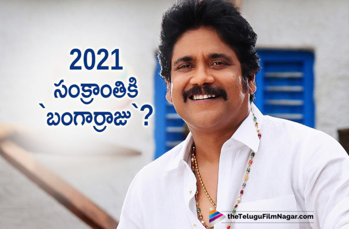 Akkineni Nagarjuna, Akkineni Nagarjuna Bangarraju Movie To Hit The Floors In June 2020, Bangarraju Movie, Bangarraju Movie Release Date, Bangarraju Telugu Movie, Latest Telugu Movies News, Nagarjuna Bangarraju Movie, Nagarjuna Bangarraju Movie To Hit The Floors In June 2020, Nagarjuna New Movie Release date, Telugu Film News 2020, Telugu Filmnagar, Tollywood Movie Updates