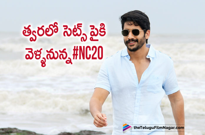 NC20 To Hit The Floors Soon,#NC20, latest telugu movies news, Naga Chaitanya Clarifies Rumours About Parasuram Project, Naga Chaitanya New Film with Director Parasuram, Naga Chaitanya Parasuram Movie, Naga Chaitanya Upcoming Movie with Parasuram, NC20 Movie Latest News, Telugu Film News 2020, Telugu Filmnagar, Tollywood Movie Updates