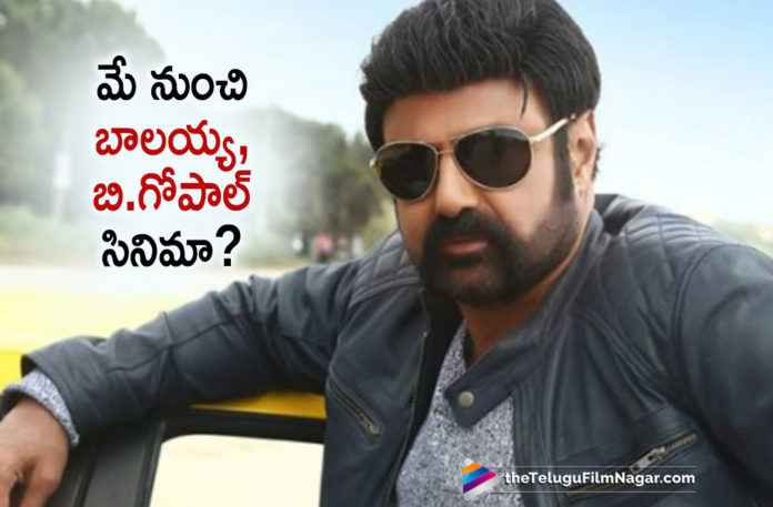 Blockbuster Pair Balakrishna And B Gopal New Movie To Hit The Floors In May,Telugu Filmnagar,Latest Telugu Movies News,Telugu Film News 2020,Tollywood Movie Updates,Balakrishna,B Gopal,Balakrishna Latest News,Balakrishna New Movie News,Balakrishna Next Project Updates,Balakrishna Latest Film Updates
