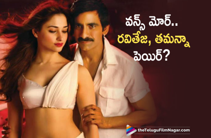 Tamannaah Bhatia Teams Up With Ravi Teja After Bengal Tiger,Telugu Filmnagar,Latest Telugu Movies News,Telugu Film News 2020,Tollywood Movie Updates,Ravi Teja,Tamannaah Bhatia,Tamannaah Bhatia Latest News,Ravi Teja Latest News,Tamannaah Bhatia New Movie With Ravi Teja,Tamannaah Bhatia Upcoming Film With Ravi Teja