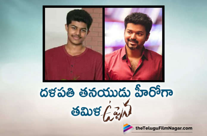 Thalapathy Vijay Son Jason Sanjay To Play The Lead In Uppena Tamil Remake
