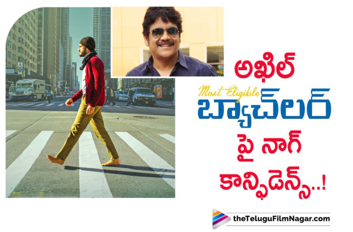 Akkineni Nagarjuna Exudes Confidence On Akhil Upcoming Movie Most Eligible Bachelor Final Output