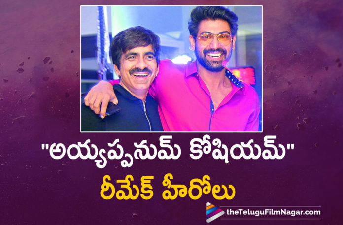 Ravi Teja and Rana Daggubati To Reprise The Lead Roles In Telugu Remake Of Blockbuster Malayalam Movie Ayyappanum Koshiyum Ravi Teja and Rana Daggubati To Reprise The Lead Roles In Telugu Remake Of Blockbuster Malayalam Movie Ayyappanum Koshiyum
