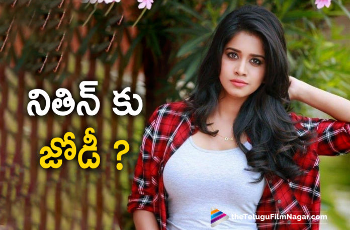 Tollywood Young Actor Nithiin To Pair Up Ismart Shankar Actress Nabha Natesh