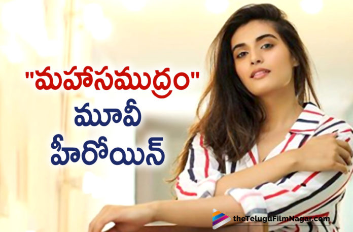 Majili Movie Fame Actress Divyansha Kaushik To Play The Lead Role In Ajay Bhupati Mahasamudram Movie Majili Movie Fame Actress Divyansha Kaushik To Play The Lead Role In Ajay Bhupati Mahasamudram Movie