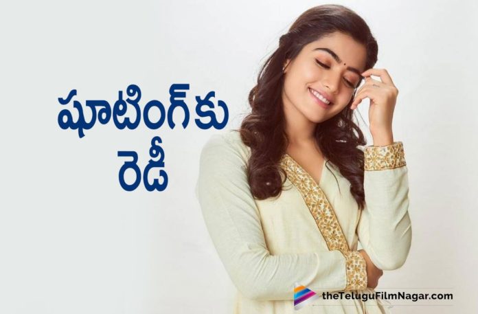 Sarileru Neekevvaru Fame Actress Rashmika Mandanna Says Yes To Movie Shooting Sarileru Neekevvaru Fame Actress Rashmika Mandanna Says Yes To Movie Shooting