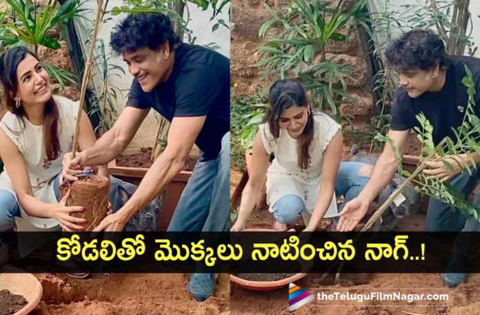 Tollywood Actor Akkineni Nagarjuna Throws Green Challenge To Her Daughter In Law Samantha Akkineni