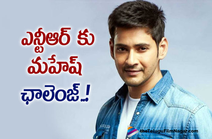 Mahesh Babu accepts Green India Challenge and nominates Jr NTR and others