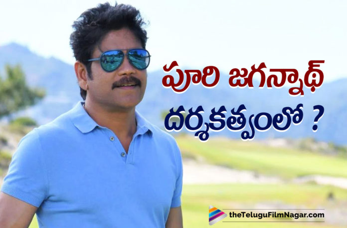 Director Puri Jagannadh To Work With Akkineni Nagarjuna Once Again After Sivamani