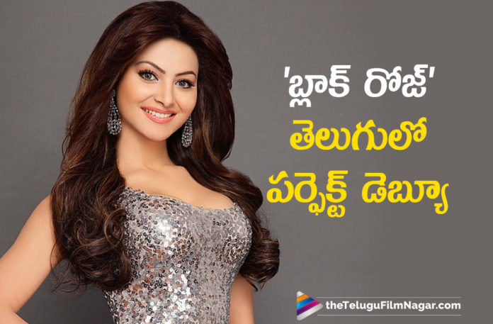 Black Rose Movie Is A Perfect Debut For Me In To Tollywood Says Urvashi Rautela Black Rose Movie Is A Perfect Debut For Me In To Tollywood Says Urvashi Rautela