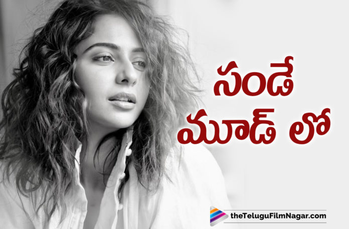 Actress Rakul Preet Singh Black and White Photo Posted On Instagram Attracts Netizens Attention