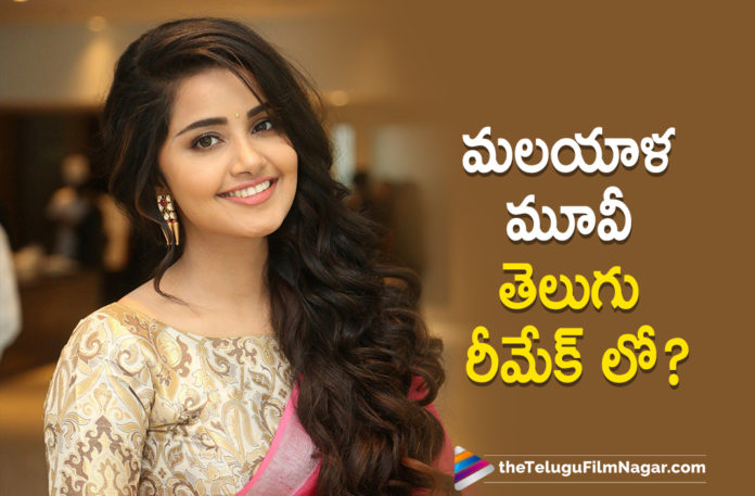 Actress Anupama Parameswaran To Act In Telugu Remake Of Blockbuster Malayalam Movie Helen