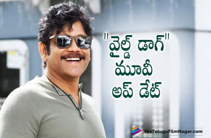 Nagarjuna Akkineni Wild Dog Movie Team Releases An Interesting Update