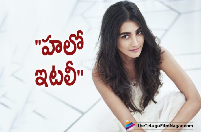 Actress Pooja Hedge Heads To Italy To Join Movie Shoot Of Radhe Shyam