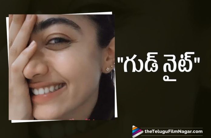 Actress Rashmika Mandanna Cute Good Night Video Post Attracts Netizens Attention Actress Rashmika Mandanna Cute Good Night Video Post Attracts Netizens Attention