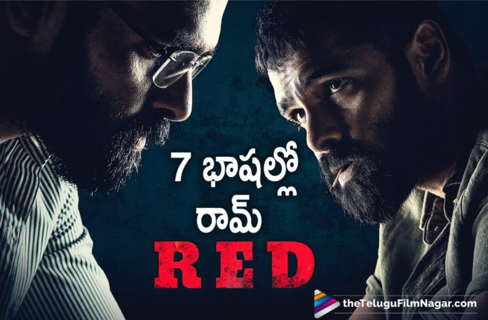 Red Movie To Release Worldwide Across Seven Languages,Telugu Filmnagar,Latest Telugu Movies News,Telugu Film News 2021,Tollywood Movie Updates,Latest Tollywood News,Red,Red Movie,Red Telugu Movie,Red Movie Release Worldwide,Ram Pothineni RED Telugu Movie Release Worldwide,RED Movie Updates,RED Telugu Movie Latest News