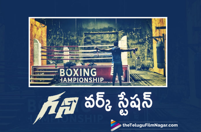 Varun Tej Shares A Sneak Peek Into The Sets Of His New Movie Ghani,Telugu Filmnagar,Latest Telugu Movies News,Telugu Film News 2021,Tollywood Movie Updates,Latest Tollywood News,Varun Tej,Actor Varun Tej,Hero Varun Tej,Ghani,Ghani Movie,Ghani Film,Ghani Telugu Movie,Ghani Movie Telugu,Ghani Update,Ghani Movie Latest News,Varun Tej Ghani,Varun Tej Gives A Sneak Peek Into The World Of Ghani,Ghani As A Boxer,Varun Tej In The World Of Ghani,Varun Tej Shared A Sneak Peek Into The Sets Of Ghani,Ghani Boxing,Varun Tej Latest Picture As A Boxer,Varun Tej New Pic As A Boxer,Varun Tej Gives A Sneak Peek Of Ghani As A Boxer,Varun Tej Boxing Pic,Varun Tej Ghani Pic,Ghani Movie News,Varun Tej Latest News,Varun Tej Ghani Film Updates