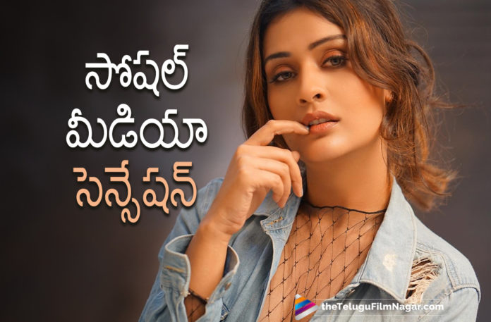 Actress Payal Rajput Creates Buzz On Social Media,Telugu Filmnagar,Latest Telugu Movies News,Telugu Film News 2021,Tollywood Movie Updates,Latest Tollywood News,Payal Rajput,Actress Payal Rajput,Heroine Payal Rajput,Payal Rajput Creates Buzz On Social Media,Payal Rajput Latest Photos,Payal Rajput Photos,Payal Rajput New Pics,Payal Rajput New Photos,Payal Rajput New Pictures,Payal Rajput Latest Photo Gallery,Payal Rajput Latest Images,Payal Rajput Viral Pics,Payal Rajput Instagram Pics,Payal Rajput Latest Photos On Social Media,Payal Rajput Viral Photos,Payal Rajput Latest Images On Internet,Payal Rajput Pictures,Payal Rajput Latest Stills,Payal Rajput Latest Photo Shoot,Payal Rajput Instagram Photos,Payal Rajput Latest News,Payal Rajput Latest Film Updates,Payal Rajput New Movie