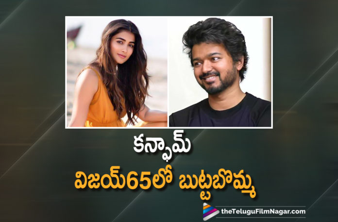 Actress Pooja Hegde Confirmed To Play The Female Lead In Thalapathy Vijay Upcoming Movie,Telugu Filmnagar,Latest Telugu Movies News,Telugu Film News 2021,Tollywood Movie Updates,Latest Tollywood News,Pooja Hegde,Actress Pooja Hegde,Heroine Pooja Hegde,Vijay Thalapathy,Hero Vijay Thalapathy,Actor Vijay Thalapathy,Thalapathy Vijay,Actress Pooja Hegde To Pair Up With Vijay Thalapathy,Hegde Pooja Onboard As The Female Lead Of Thalapathy 65,Thalapathy 65 By Sun Pictures,Pooja Hegde In Thalapathy 65,Pooja Hegde In Vijay Thalapathy Movie,Pooja Hegde To Pair Up With Vijay In Thalapathy 65,Pooja Hegde To Pair Up With Vijay,Pooja Hegde Next Movie With Thalapathy Vijay,Pooja Hegde New Movie,Pooja Hegde Upcoming Movie With Vijay In Thalapathy 65,Pooja Hegde Thalapathy 65,Pooja Hegde In Thalapathy65,Actress Pooja Hegde In Thalapathy 65,Pooja Hegde Upcoming Project,#Thalapathy65