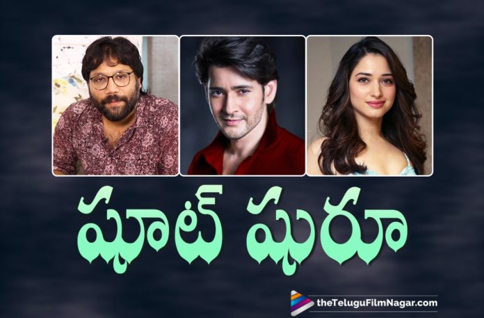 Ad Shoot Of Mahesh Babu, Tamannaah Along With Director Sandeep Vanga Kickstarts,Telugu Filmnagar,Latest Telugu Movies News,Telugu Film News 2021,Tollywood Movie Updates,Latest Tollywood News,Mahesh Babu,Super Star Mahesh Babu,Actor Mahesh Babu,Director Sandeep Vanga,Sandeep Vanga,Tamannaah,Actress Tamannaah,Mahesh Babu Ad Shoot,Mahesh Babu And Tamannaah Ad Shoot,Mahesh Babu And Tamannaah Ad Shoot Kickstarts,Ad Shoot Of Mahesh Babu With Sandeep Vanga Kickstarts,Sandeep Vanga To Direct Mahesh Babu And Tamannaah Today,Mahesh Babu In Sandeep Reddy Vanga Direction For An Ad Film,Mahesh New Add Updates,Sandeep Reddy Vanga New Add,Mahesh Babu And Tamannaah Ad Shoot