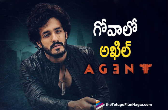 Agent Movie Team Heads To Goa For Movie Shoot,Telugu Filmnagar,Latest Telugu Movies News,Telugu Film News 2021,Tollywood Movie Updates,Latest Tollywood News,Akhil Akkineni To Fly To Goa,Surender Reddy,Director Surender Reddy,Surender Reddy Movies,Latest Update Of Agent,Agent Movie Team Planning Agent First Schedule In Goa,Team Of Agent And Akhil Akkineni Will Head To Goa For The Shoot,Akhil Akkineni,Actor Akhil Akkineni,Hero Akhil Akkineni,Akhil Akkineni Agent,Agent Akhil,Akhil Movies,Akhil New Movie,Akhil Next Movie,Agent,Agent Movie,Agent Telugu Movie,Agent Movie Updates,Agent Movie Latest Updates,Agent Team Heads To Goa For Movie Shoot,Agent First Schedule In Goa,Agent First Schedule,Agent Movie Shoot,Agent Movie Shooting,Agent Movie Shooting Update,Agent Movie Shoot In Goa