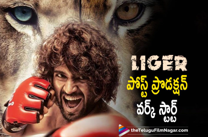 Liger Movie Team Starts Post Production Work Liger Movie Team Starts Post Production Work,Telugu Filmnagar,Telugu Film News 2021,Puri Jagannath Kick Starts Liger’s Post Production,Puri Jagannath,Director Puri Jagannath,Puri Jagannath New Movie,Puri Jagannath Latest Movie,Puri Jagannath Liger,Liger Post Production Work,Liger Post Production Work Started,Puri Jagannadh And Vijay Deverakonda’s Upcoming Movie,Vijay Deverakonda,Actor Vijay Deverakonda,Hero Vijay Deverakonda,Vijay Deverakonda Liger,Vijay Deverakonda Liger Movie Post Production Work Starts,Liger Movie Post Production Work Starts,Liger Team Kick Starts Post Production Work,Puri Jagannath Kick Started Liger’s Post Production Formalities,Ananya Panday,Liger Movie,Liger,Liger Telugu Movie,Liger Update,Liger Movie Latest Update,Liger Movie News,Vijay Deverakonda New Movie