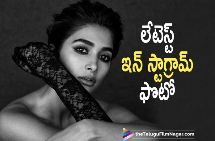 Pooja Hegde Latest Picture Shared On Instagram Goes Viral On Social Media,Telugu Filmnagar,Latest Telugu Movies News,Telugu Film News 2021,Tollywood Movie Updates,Latest Tollywood News,Pooja Hegde,Actress Pooja Hegde,Heroine Pooja Hegde,Pooja Hegde Movie,Pooja Hegde Latest News,Pooja Hegde New movie,Pooja Hegde Latest Film Updates,Pooja Hegde Next Movies,Pooja Hegde upcoming Movies,Pooja Hegde Upcoming Movies,Pooja Hegde Next Projects,Pooja Hegde Latest Pictures,Pooja Hegde Latest Photos,Pooja Hegde Latest Images,Pooja Hegde Latest Pics,Pooja Hegde Latest Photo Gallery,Pooja Hegde New Pictures,Pooja Hegde New Photos,Pooja Hegde New Images,Pooja Hegde New Pics,Pooja Hegde Photos,Pooja Hegde Latest Photoshoot,Pooja Hegde Photoshoot,Pooja Hegde Instagram Photo,Pooja Hegde Instagram,Pooja Hegde Instagram Pics