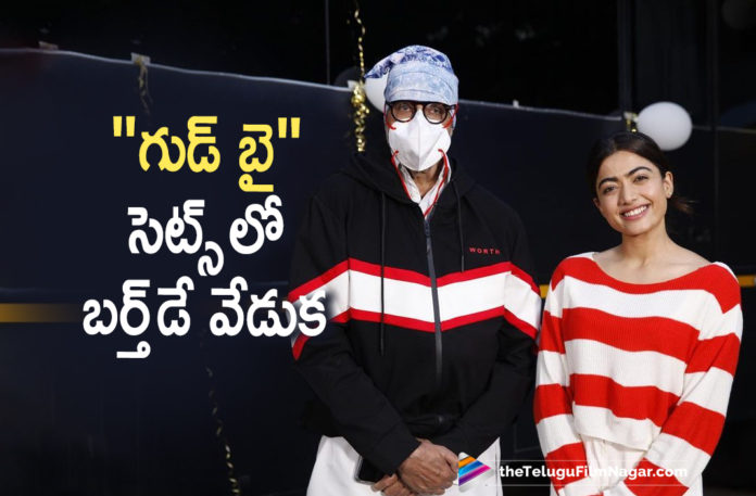 Rashmika Mandanna Celebrates Her Birthday On The Sets Of Good Bye Movie,Telugu Filmnagar,Latest Telugu Movies News,Telugu Film News 2021,Tollywood Movie Updates,Latest Tollywood News,Rashmika Mandanna,Actress Rashmika Mandanna,Heroine Rashmika Mandanna,Good Bye,Good Bye Movie,Good Bye Movie Update,Rashmika Mandanna Celebrates Her Birthday On Good Bye Movie Sets,Rashmika Mandanna Birthday Celebrations,Rashmika Mandanna Birthday Celebrations On Good Bye Movie,Rashmika Mandanna Celebrates Birthday On Goodbye Set,Rashmika Mandanna Celebrated Her Birthday On Goodbye Film Set,Rashmika Mandanna Celebrates Birthday With Amitabh Bachchan on Goodbye Sets,Rashmika Mandanna Celebrates 25th Birthday With Amitabh Bachchan,Rashmika Mandanna Birthday,Heroine Rashmika Mandanna Birthday Celebrations,Rashmika Mandanna Latest News