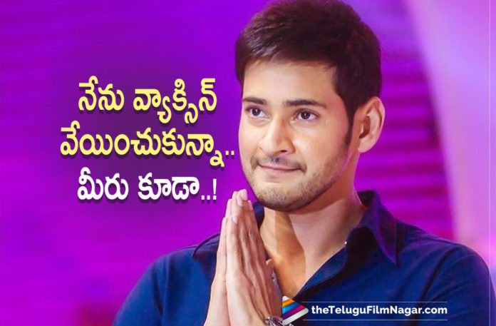 Super Star Mahesh Babu Urges Everyone To Get Vaccination To Stay Safe From Corona Virus On Twitter,Telugu Filmnagar,Latest Telugu Movies News,Telugu Film News 2021,Tollywood Movie Updates,Latest Tollywood News,Mahesh Babu,Super Star Mahesh Babu,Hero Mahesh Babu,Actor Mahesh Babu,Mahesh Babu Latest Film Updates,Mahesh Babu Latest News,Mahesh Babu Movies,Mahesh Babu Gets The First Covid 19 Vaccination Dose,Mahesh Babu Vaccine,Mahesh Babu Done With Covid-19 Vaccination,Mahesh Babu Gets Covid-19 Vaccine,Mahesh Babu Gets Vaccinated For Covid-19,Actor Mahesh Babu Receives His Corona Vaccine,Mahesh Babu : Done With My Corona Vaccination,Mahesh Babu Gets His Covid-19 Vaccine,Mahesh Babu On Twitter,Mahesh Babu Gets Vaccinated For Coronavirus,Mahesh Babu Latest Movie,Super Star Mahesh Babu Gets Vaccinated For Covid-19,Mahesh Babu Urges Everyone To Get Vaccination,Mahesh Babu Urge Everyone To Get Vaccination