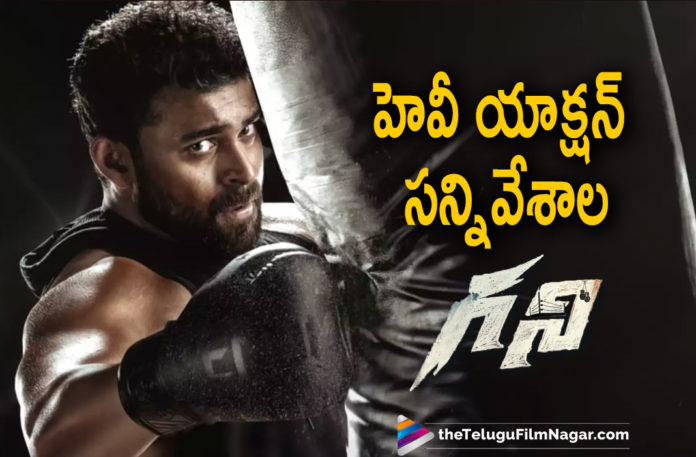 Varun Tej Starrer Ghani Movie Going To Be A Complete Action Packed Entertainer,Telugu Filmnagar,Latest Telugu Movies News,Telugu Film News 2021,Tollywood Movie Updates,Latest Tollywood News,Varun Tej,Hero Varun Tej,Actor Varun Tej,Ghani,Ghani Movie,Ghani Film,Ghani Telugu Movie,Ghani Update,Ghani Movie Update,Ghani Movie Latest Update,Ghani Movie News,Ghani Movie Latest News,Varun Tej Ghani,Ghani Varun Tej,Varun Tej Ghani Telugu Movie Update,Varun Tej New Movie,Varun Tej Latest Movie,Varun Tej Latest News,Varun Tej Starrer Ghani Movie,Ghani Movie Complete Action Packed Entertainer,Upendra,Sunil Shetty,Ghani Movie Action Sequences,Varun Tej Starrer Ghani Complete Action Packed Entertainer,#Ghani