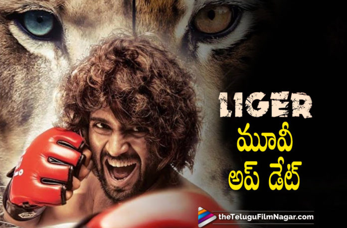 Vijay Deverakonda Liger Movie Team Releases An Interesting Update Vijay Deverakonda Liger Movie Team Releases An Interesting Update,Ananya Panday,Actress Ananya Panday,Ananya Panday Liger,Telugu Filmnagar,Latest Telugu Movies News,Telugu Film News 2021,Tollywood Movie Updates,Latest Tollywood News,Vijay Deverakonda,Actor Vijay Deverakonda,Vijay Deverakonda Liger,Liger,Liger Movie,Liger Film,Liger Movie Telugu,Liger Telugu Movie,Liger Update,Liger Movie Update,Liger Interesting Update,Liger New Announcement,Break For Liger Movie,Liger Shoot,Liger Movie Shoot,Liger Movie Shooting Update,Liger Movie Shooting Break,Break For Vijay Deverakonda Liger Movie,Vijay Deverakonda Liger Movie,Vijay Deverakonda Liger Movie Update