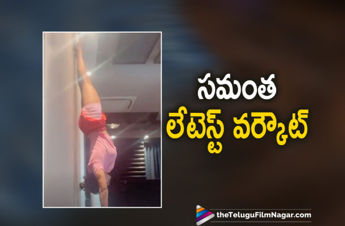 Actress Samantha Akkineni Surprises Everyone With Her Headstand Picture On Social Media,Telugu Filmnagar,Latest Telugu Movies News,Telugu Film News 2021,Tollywood Movie Updates,Latest Tollywood News,Samantha,Samantha Akkineni,Samantha Photo,Samantha Videos,Samantha New Photos,Samantha New Movies,Samantha Akkineni Latest News,Samantha Akkineni Reveals Her Life Status With A Headstand,Samantha Akkineni Is Hanging In There,Samantha Akkineni Shared Glimpses Of Her Workout Sessions,Samantha Fitness,Samantha Latest,Samantha Workout Video,Samantha,Akkineni Samantha Dance Workout,Samantha Photoshoot,Samantha Akkineni Movies,Samantha Akkineni Workout,Samantha Akkineni Gym Workout,Samantha Akkineni Photos,Samantha AkkineniImages,Samantha Akkineni Instagram,Samantha Akkineni Instagram Photos,Samantha Akkineni Latest Photo Gallery,Samantha Akkineni Workout Photos
