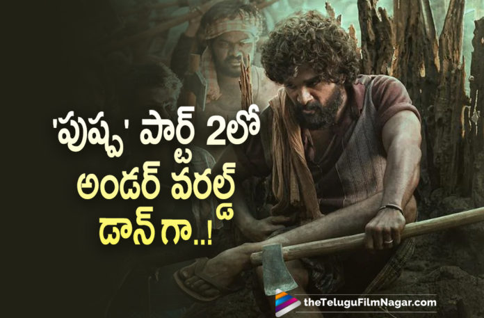 Icon Staar Allu Arjun To Play Underworld Don In Second Part Of Pushpa Movie,Telugu Filmnagar,Latest Telugu Movies News,Telugu Film News 2021,Tollywood Movie Updates,Latest Tollywood News,Icon Staar Allu Arjun,Allu Arjun,Hero Allu Arjun,Actor Allu Arjun,Allu Arjun New Movie,Allu Arjun Latest Movie,Allu Arjun Pushpa Movie Updates,Allu Arjun Pushpa Movie News,Pushpa,Pushpa Movie,Pushpa Film,Pushpa Telugu Movie,Pushpa Updates,Pushpa Movie Updates,Pushpa Movie Latest Update,Pushpa Movie News,Allu Arjun Pushpa,Allu Arjun's Pushpa Movie,Allu Arjun To Play Underworld Don In Pushpa Part 2,Allu Arjun's Pushpa In Two Parts,Allu Arjun Latest News,Allu Arjun’s Pushpa In Two Parts,Rashmika Mandanna,Sukumar,Pushpa Two Parts,Pushpa Part 2 Update,Pushpa Part 2 News,Underworld Don,Allu Arjun To Play Underworld Don,Allu Arjun As Underworld Don In Pushpa 2,Allu Arjun As Underworld Don,Allu Arjun's Character in Pushpa Revealed,Allu Arjun's Character in Pushpa 2,Allu Arjun As Underworld Don Character In Pushpa 2,#Pushpa