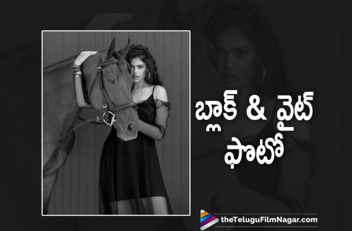 Jathi Ratnalu Movie Fame Actress Faria Abdullah Shares Her Black and White Picture On Instagram,Telugu Filmnagar,Latest Telugu Movies News,Telugu Film News 2021,Tollywood Movie Updates,Latest Tollywood News,Jathi Ratnalu,Chitti,Jathi Ratnalu Chitti,Jathi Ratnalu Telugu Movie,Actress Faria Abdullah,Faria Abdullah,Heroine Faria Abdullah,Faria Abdullah New Movie,Faria Abdullah Latest Movie,Faria Abdullah Upcoming Movie,Faria Abdullah Next Projects,Faria Abdullah Upcoming Projects,Faria Abdullah Movie Updtes,Faria Abdullah Latest Film Updates,Faria Abdullah Black and White Picture,Faria Abdullah Instagram,Faria Abdullah Instagram Photos,Faria Abdullah Photos,Faria Abdullah Pictures,Faria Abdullah Images,Faria Abdullah Stills,Faria Abdullah Photoshoot,Faria Abdullah Shares Her Black and White Picture