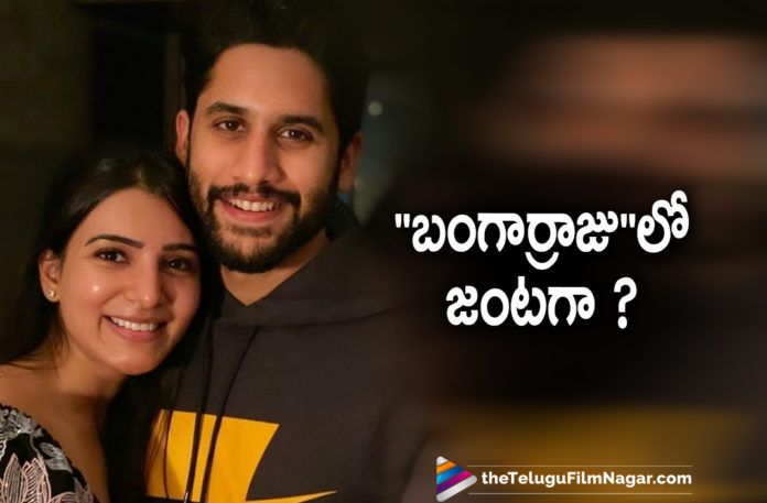 Naga Chaitanya and Samantha Akkineni To Share Screen Space Once Again With Akkineni Nagarjuna In Bangar Raju Movie,Samantha To Act As Pair To Naga Chaitanya In Bangarraju,Telugu Filmnagar,Latest Telugu Movies News,Telugu Film News 2021,Tollywood Movie Updates,Latest Tollywood News,Naga Chaitanya,Actor Naga Chaitanya,Hero Naga Chaitanya,Samantha Akkineni,Actress Samantha Akkineni,Naga Chaitanya and Samantha Akkineni Movie,Akkineni Nagarjuna,Akkineni Nagarjuna Movie,Bangar Raju,Bangar Raju Movie,Bangar Raju Telugu Movie,Bangar Raju Movie Updates,Bangar Raju Movie News,Akkineni Nagarjuna Bangar Raju,Naga Chaitanya and Samantha Akkineni In Bangar Raju Movie,Samantha To Act As Pair To Naga Chaitanya In Bangarraju Movie,Nagarjuna Bangarraju Movie Update,Samantha and Naga Chaitanya To Act In Nagarjuna Bangar Raju,Nagarjuna Family,Samantha Akkineni In Bangar Raju Movie,Samantha Akkineni Movies,Samantha New Movie