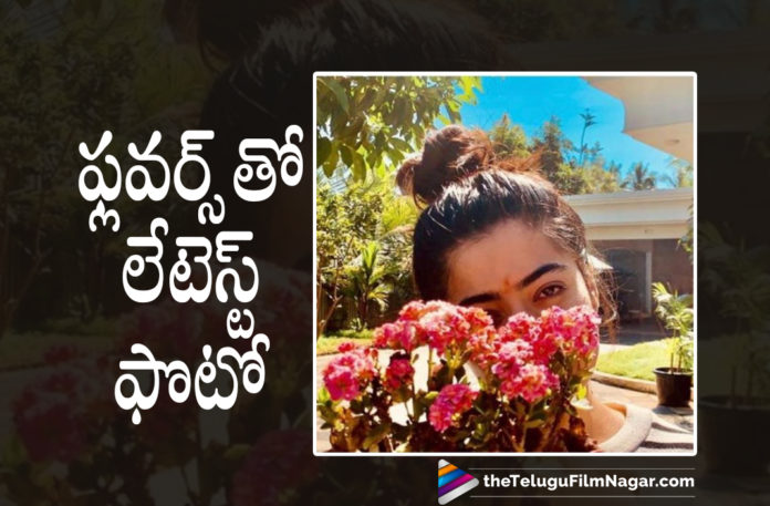 Rashmika Mandanna Latest Photo Goes Viral On Social Media,Telugu Filmnagar,Latest Telugu Movies News,Telugu Film News 2021,Tollywood Movie Updates,Latest Tollywood News,Rashmika Mandanna’s Latest Photo With Flowers,Rashmika Mandanna Latest Photo Gallery,Rashmika Mandanna,Actress Rashmika Mandanna,Heroine Rashmika Mandanna,Rashmika Mandanna Latest Photos,Rashmika Mandanna Latest Pictures,Rashmika Mandanna Latest Images,Rashmika Mandanna Latest Pics,Rashmika Mandanna Photos,Rashmika Mandanna Images,Rashmika Mandanna Pictures,Rashmika Mandanna New Photos,Rashmika Mandanna Movies,Rashmika Mandanna New Pics,Rashmika Mandanna New Movie,Rashmika Mandanna Latest Stills,Rashmika Mandanna New Stils,Rashmika Mandanna Latest PhotoShoot,Rashmika Mandanna PhotoShoot,Rashmika Mandanna Actress Photos,Rashmika Mandanna Photo Gallery,Rashmika Mandanna Flowers Photo,Rashmika Mandanna Photo With Flowers