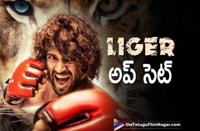 Vijay Deverakonda Gets Upset As The Liger Movie Shoot Got Delayed Due To Covid19 Virus,Telugu Filmnagar,Latest Telugu Movies News,Telugu Film News 2021,Tollywood Movie Updates,Latest Tollywood News,Vijay Deverakonda,Actor Vijay Deverakonda,Hero Vijay Deverakonda,Vijay Deverakonda New Movie,Vijay Deverakonda Latest Movie,Vijay Deverakonda Next Movie,Vijay Deverakonda Latest News,Vijay Deverakonda Liger,Liger,Liger Movie,Liger Film,Liger Telugu Movie,Liger Movie Update,Liger Movie News,Liger Movie Shooting Update,Liger Movie Shoot,Vijay Deverakonda New Movie Update,Liger Movie Shoot Got Delayed Due To Covid-19,Liger Movie Shoot Got Delayed,Vijay Deverakonda Gets Upset,Vijay Devarakonda Upset With Delay In Liger,Liger Shoot Delayed,Puri Jagan,Ananya Panday,Vijay Devarakonda's Liger Movie Shoot Got Delayed