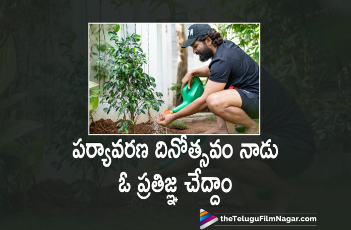Allu Arjun Urges Everyone to Plant a sapling on the world environment day,Telugu Filmnagar,Latest Telugu Movies News,Telugu Film News 2021,Tollywood Movie Updates,Tollywood Latest News,Allu Arjun,Allu Arjun New Movie Details,Allu Arjun Next Project News,Allu Arjun Latest Film Details,Allu Arjun Upcoming Movie Details On Cards,Allu Arjun Movie,Allu Arjun Telugu Movies