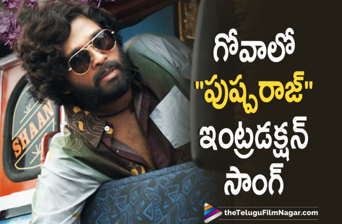 Director Sukumar Plans To Shoot Pushpa Raj Introduction Song In Goa,Telugu Filmnagar,Latest Telugu Movies 2021,Tollywood Movie Updates,Latest Tollywood News,Pushpa Introduction Song Shoots In Goa,Director Sukumar,Sukumar,Sukumar Movies,Sukumar New Movie,Allu Arjun,Allu Arjun Movies,Allu Arjun Latest News,Allu Arjun Next Movie,Icon Staar Allu Arjun,Allu Arjun Latest News,Allu Arjun Movie Updates,Pushpa Raj,Pushpa Raj Introduction Song In Goa,Pushpa Raj Introduction Song,Pushpa,Pushpa Movie,Pushpa Telugu Movie,Pushpa Updates,Pushpa Movie Updates,Pushpa Telugu Movie Updates,Pushpa Movie News,Pushpa Sond,Pushpa Movie Songs,Pushpa Telugu Movie Songs,Pushpa Song In Goa,Pushpa Introduction Song In Goa,Allu Arjun Pushpa,Allu Arjun Pushpa Movie Songs,Allu Arjun Pushpa Movie Song Shoot,Rashmika Mandanna,Allu Arjun Rashmika Mandanna Movie,Director Sukumar Latest News,Director Sukumar New Movie,Pushpa Movie Introduction Song,Pushpa Song Update,Allu Arjun Pushpa Raj Introduction Song