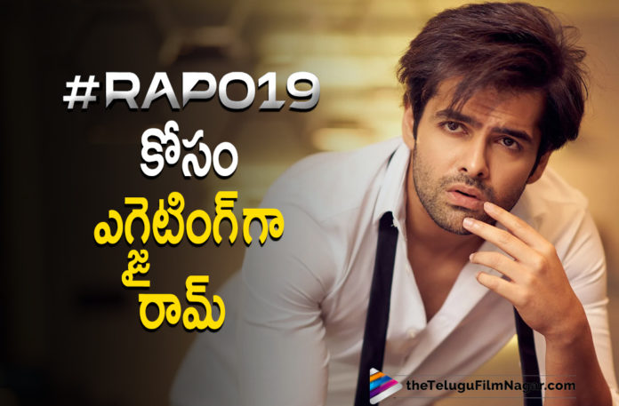Energetic Star Ram Pothineni Awaits Eagerly For RAPO19 Energetic Star Ram Pothineni Awaits Eagerly For RAPO19,Telugu Filmnagar,Latest Telugu Movies 2021,Tollywood Movie Updates,Latest Tollywood News,Ram Pothineni Says Yes To Join Movie Shooting of RAPO19,Ram Pothineni To Join Movie Shooting of RAPO19,Ram Pothineni To Join RAPO19 Movie Shooting,Actor Ram Ready For Shoot Soon,Ram Pothineni Ready For RAPO19 Shoot Soon,Ram Pothineni Ready For RAPO19 Shoot,Ram Pothineni,Actor Ram Pothineni,Hero Ram Pothineni,Ram Pothineni Movies,Ram Pothineni New Movie,Ram Pothineni Lingusamy Movie,Ram Pothineni Lingusamy Movie Update,Ram Pothineni And Lingusamy Movie,RaPo19,RAPO 19 Movie,RAPO 19 Movie Updates,RAPO19,RAPO19 Latest Updtes,RAPO19 Telugu Movie,Lingusamy,Ram Pothineni's RAPO19 Movie,Ram Pothineni Latest News,Ram Pothineni Movie News,Ram Pothineni Movie Updates,Ram Pothineni Latest Film Updates,Ram Pothineni RAPO19 Movie Shooting,Ram Pothineni About His Project,Ram Pothineni Is Kicked About Lingusamy's Final Narration,RAPO19 Final Narration Completes,#RAPO19