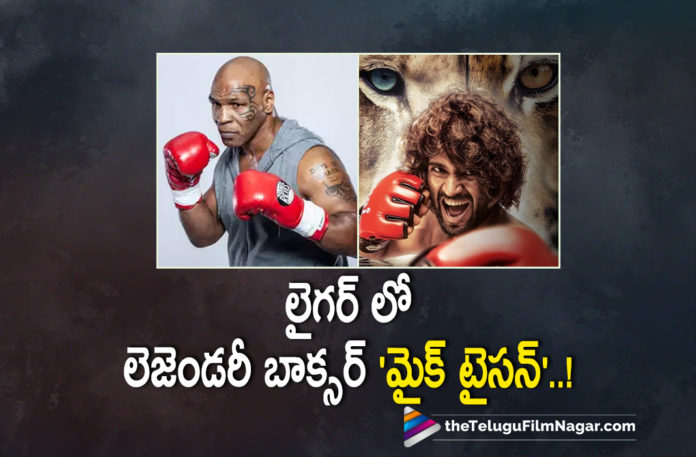 Legendary Boxer Mike Tyson Gives Green Signal To Share Screen Space With Vijay Deverakonda In His Upcoming Movie Liger,Telugu Filmnagar,Legendary Boxer Mike Tyson,Boxer Mike Tyson,Mike TysonLegendary Boxer Mike Tyson Gives Green Signal To Vijay Deverakonda,Ananya Pandey,Liger,Mike Tyson,Puri Jagannadh,Vijay Deverakonda,Vijay Deverakonda And Annaya Pandey,Vijay Deverakonda And Annaya Pandey Movie,Boxing Legend Mike Tyson Teams Up With Vijay Deverakonda,Mike Tyson In Vijay Devarakonda's Liger,Mike Tyson In Vijay Devarakonda's Liger,Mike Tyson For Vijay Deverakonda,Boxing Legend Mike Tyson In Vijay Deverakonda's Liger,Mike Tyson Gives Green Signal To Vijay Deverakonda,Boxer Mike Tyson In Liger,Liger,Liger Movie,Liger Telugu Movie,Liger Updates,Liger Movie Updates,Liger Telugu Movie Updates,Liger Movie Latest Updates,Liger Movie Latest News,Liger Telugu Movie Shooting,Vijay Deverakonda's Liger,Vijay Deverakonda,Vijay Deverakonda Latest News,Vijay Deverakonda New Movie,Vijay Deverakonda Latest Movie,Legendary Boxer To Become A Part Of Liger,#Liger
