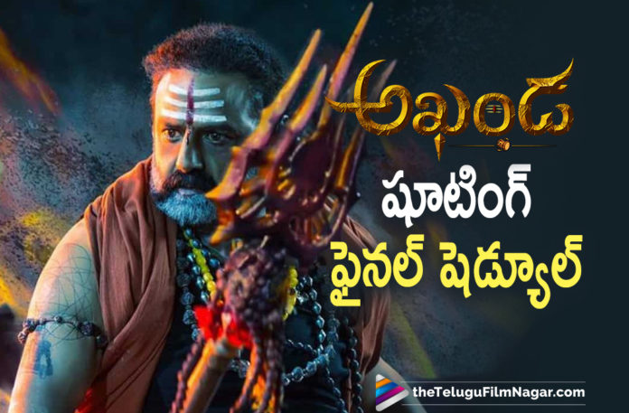 Nandamuri Balakrishna Starrer Akhanda Movie Enters Its Final Schedule,Akhanda Movie Enters Its Final Schedule,Akhanda Movie Final Schedule,Telugu Filmnagar,Latest Telugu Movies 2021,Telugu Film News,Tollywood Movie Updates,Latest Tollywood News,Balakrishna Shoots The Climax Of Akhanda,Akhanda Movie Climax Shoot,Akhanda Movie Shoot,Akhanda Shooting Update,Akhanda Climax Shoot,Nandamuri Balakrishna,Balakrishna,Balakrishna BB3,Akhanda,BB3​ Title Roar,Nandamuri Balakrishna BB3,Boyapati Srinu,Thaman S,Akhanda: BB3​ Title Roar,Akhanda Movie,NBK 106,Balakrishna New Movie,Balakrishna Latest Movie,NBK 106 Movie,Akhanda NBK Movie,Balakrishna And Boyapati Movie,Balakrishna 106,NBK in Akhanda,Akhanda Telugu Movie,Balakrishna Akhanda,Balakrishna And Boyapati New Movie Akhanda,BB3 Akhanda,Akhanda Enters Final Schedule Of Movie Shoot,Akhanda Last Shoot,Akhanda Shooting Update,Akhanda Latest Schedule,Akhanda Movie Latest Updates,Akhanda Movie Latest Shooting Update,Balakrishna Akhanda Movie Update,#Akhanda,#BB3​