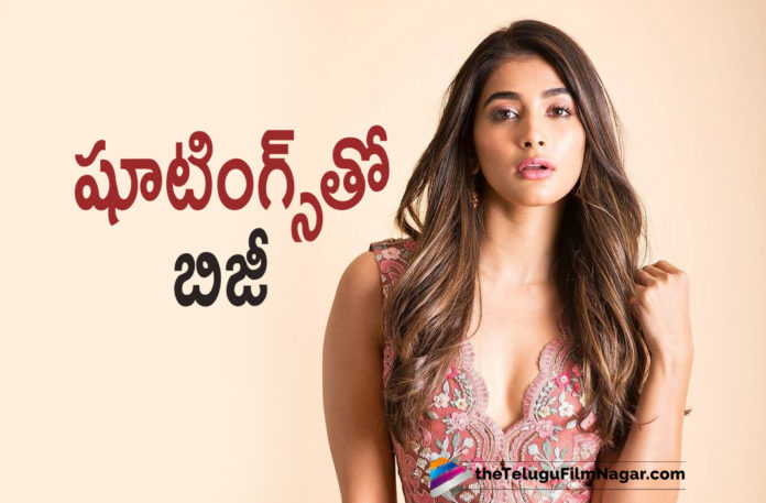 Pooja Hegde Gets Busy With Back To Back Movie Shootings Pooja Hegde Gets Busy With Back To Back Movie Shootings,Telugu Filmnagar,Latest Telugu Movies News,Telugu Film News 2021,Tollywood Movie Updates,Latest Tollywood News,Rebel Star Prabhas,Prabhas,Pooja Hegde,Actress Pooja Hegde,Heroine Pooja Hegde,Pooja Hegde New Movie,Pooja Hegde Latest Movie,Pooja Hegde Movie Updates,Pooja Hegde New Movie updates,Pooja Hegde Latest Movie Updates,Pooja Hegde Upcoming Movie,Pooja Hegde Next Projects,Radhe Shyam,Radhe Shyam Movie,Radhe Shyam Telugu Movie,Pooja Hegde Beast Shooting,Prabhas And Pooja Hegde Movie,Pooja Hegde Busy With Back To Back Movie Shootings,Pooja Hegde Back To Back Movie Shootings,Pooja Hegde To Head To Chennai To Start Beast Shoot On July 1 With Thalapathy Vijay,Beast,Beast Movie,Beast Movie First Look,Beast First Look,Beast Secong Look,Pooja Hegde Beast,Thalapathy Vijay,Pooja Hegde To Start Beast Shoot On July 1,Pooja Hegde Beast Movie Shooting,Beast Schedule To Start Soon,Pooja Hegde Back To Working On Radhe Shyam
