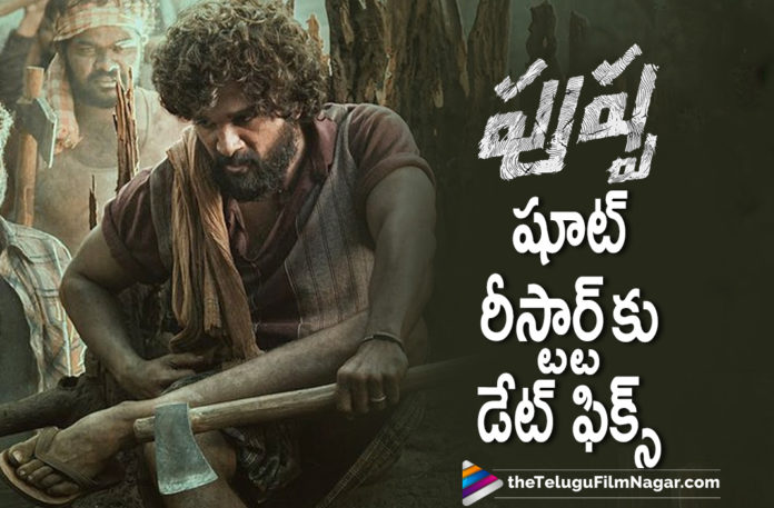 Pushpa Team To Resume Movie Shoot In July,Telugu Filmnagar,Pushpa Team To Resume Shoot In July,Pushpa To Resume Shoot On July 5,Pushpa Movie To Resume Shoot On July 5,Pushpa Resume Shoot On 5th July,Allu Arjun's Pushpa To Commence Shooting From July,Allu Arjun,Icon Staar Allu Arjun,Actor Allu Arjun,Hero Allu Arjun,Allu Arjun New Movie,Allu Arjun Latest Movie,Allu Arjun Movie,Allu Arjun Movie Updates,Allu Arjun New Movie Updates,Pushpa,Pushpa Movie,Pushpa Telugu Movie,Pushpa Update,Pushpa Movie Updates,Pushpa Telugu Movie Updates,Pushpa Latest Updates,Pushpa Movie News,Pushpa Telugu Movie News,Allu Arjun's Pushpa Movie,Allu Arjun's Pushpa,Allu Arjun's Pushpa Movie Update,Allu Arjun Pushpa,Pushpa Movie Shoot,Rashmika Mandanna,Actress Rashmika Mandanna,Allu Arjun And Rashmika Mandanna Movie,Allu Arjun And Rashmika Film,Pushpa Movie Shooting,Pushpa Movie Shooting Latest Update,Pushpa Movie Shooting Updates,Pushpa Movie Release Date,Pushpa To Resume Shoot From 5th July,Pushpa Shooting To Resume From July 5th,Pushpa Resume Shooting On July 5th,#Pushpa