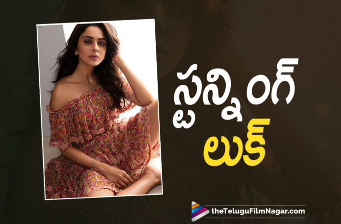 Rakul Preet Singh Looks Stunning In This Latest Photoshoot Rakul Preet Singh Looks Stunning In This Latest Photoshoot,Telugu Filmnagar,Latest Telugu Movies 2021,Telugu Film News,Tollywood Movie Updates,Latest Tollywood News,Rakul Preet Latest Stunning Pose,Rakul Preet Latest Images,Rakul Preet Singh,Rakul Preet Singh Images,Actress Rakul Preet Singh,Heroine Rakul Preet Singh,Rakul Preet Singh Photos,Rakul Preet Singh New Look,Rakul Preet Singh Latest Look,Rakul Preet Singh Pictures,Rakul Preet Singh Photos,Rakul Preet Singh Latest Photo Gallery,Rakul Preet Singh New Stills,Rakul Preet Singh Latest Stills,Rakul Preet Singh Latest Photoshoot,Rakul Preet Singh Photoshoot,Rakul Preet Latest Pose,Rakul Preet Singh Movies,Rakul Preet Singh New Movie,Rakul Preet Singh Latest Movie,Rakul Preet Singh Upcoming Movies,Rakul Preet Singh Next Projects,Rakul Preet Singh Latest Pictures,Rakul Preet Singh Latest Photos,Rakul Preet Singh New Pose,Rakul Preet Singh Stunning Photos,Rakul Preet Singh Latest News,Rakul Preet Singh Latest Film Updates