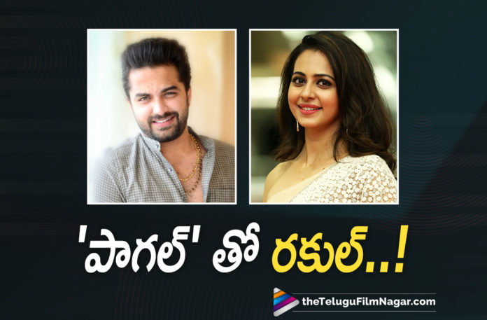 Rakul Preet Singh To Be Paired Opposite Vishwak Sen,Telugu Filmnagar,Latest Telugu Movies 2021,Telugu Film News,Tollywood Movie Updates,Latest Tollywood News,Vishwak Sen Romance With Rakul Preet Singh For OTT Movie,Rakul Preet Singh To Topline Al Vijay's OTT Film October 31st Ladies Night,31st Ladies Night,Rakul Preet Joins Al Vijay And Vishwak Sen Film,Rakul Preet Singh And Vishwak Sen In Ladies Night,Vishwak Sen With Rakul Preeth Singh,Vishwak Sen Movie With Rakul Preet Singh For OTT Movie,Manjima Mohan,Megha Akash,Nivetha Pethuraj,October 31 Ladies Night,OTT Movie,Rakul Preet Singh,Reba Monica John,Vishwak Sen,Rakul Preet Singh To Topline October 31st Ladies Night,Rakul Preet Singh Opposite Vishwak Sen,Rakul Preet Singh Vishwak Sen Movie,Vishwak Sen New Movie,Vishwak Sen Movies,Rakul Preet Singh Movies,Rakul Preet Singh Latest Movie,Rakul Preet Singh New Movie,Rakul Preet Singh In October 31st Ladies Night,October 31st Ladies Night Movie,Rakul Preet Vishwak Sen Film,Rakul Preet Vishwak Sen 31st Ladies Night