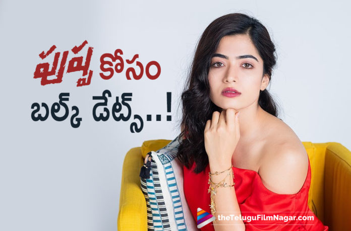 Rashmika Mandanna Allocates Bulk Dates To Pushpa Movie Rashmika Mandanna Allocates Bulk Dates To Pushpa Movie,Allu Arjun's Pushpa,Allu Arjun And Rashmika Mandanna's Pushpa,Rashmika Mandanna To Turn Busy With Pushpa,Telugu Filmnagar,Latest Telugu Movies 2021,Tollywood Movie Updates,Latest Tollywood News,Allu Arjun And Sukumar’s Pushpa,Rashmika To Allot Bulk Dates For Pushpa,Rashmika Mandanna,Rashmika Mandanna Movies,Rashmika Mandanna New Movie,Rashmika Mandanna Latest Movie,Rashmika Mandanna Next Movie,Pushpa,Pushpa Movie,Pushpa Film,Pushpa Telugu Movie,Pushpa Movie Update,Pushpa Movie Latest News,Allu Arjun,Icon Staar Allu Arjun,Allu Arjun Pushpa,Rashmika Mandanna Upcoming Movie,Rashmika Mandanna In Pushpa Movie,Rashmika Mandanna Latest News,Rashmika Mandanna Pushpa,Rashmika Mandanna Next Project,Allu Arjun Rashmika Mandanna Movie,Rashmika Mandanna Allocates Bulk Dates To Pushpa,Rashmika Mandanna Pushpa Shooting,Rashmika Mandanna Pushpa Shoot,Rashmika Mandanna Dates To Pushpa,Rashmika Mandanna Allots Bulk Dates For Pushpa Movie,Sukumar,#Pushpa